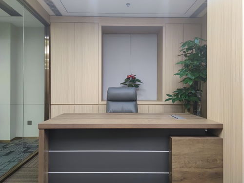 國貿(mào)cbd 國貿(mào)三期 地標(biāo)建筑 全新裝修帶家具 對電梯